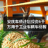 安庆车桥计划投资6千万用于工业车辆车桥智能制造基地建设（图2）