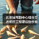 北京城市副中心综合交通枢纽工程建设稳步推进(图4) 北京城市副中心综合交通枢纽工程建设稳步推进(图4)