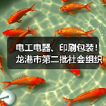 电工电器、印刷包装！龙港市第二批社会组织评估结果公示
