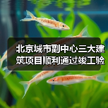 北京城市副中心三大建筑项目顺利通过竣工验收