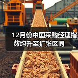 12月份中国采购经理指数均升至扩张区间(图4) 12月份中国采购经理指数均升至扩张区间(图4)