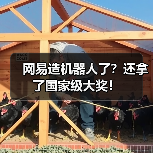 网易造机器人了？还拿了国家级大奖！