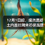 12月1日起，现浇混凝土内置挂网夹芯保温建筑构造标准实施（图4）