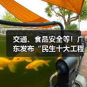 交通、食品安全等!广东发布“民生十大工程”五年行动计划(图4) 交通、食品安全等!广东发布“民生十大工程”五年行动计划(图4)