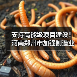 支持高能级项目建设!河南郑州市加强制造业高质量发展(图3) 支持高能级项目建设!河南郑州市加强制造业高质量发展(图3)