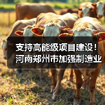 支持高能级项目建设!河南郑州市加强制造业高质量发展(图4) 支持高能级项目建设!河南郑州市加强制造业高质量发展(图4)