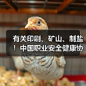有关印刷、矿山、制盐!中国职业安全健康协会五项标准发布(图2) 有关印刷、矿山、制盐!中国职业安全健康协会五项标准发布(图2)