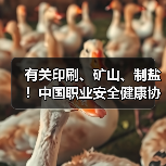 有关印刷、矿山、制盐！中国职业安全健康协会五项标准发布