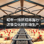 明年一批新规将施行！这些变化将影响生产、生活