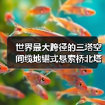 世界最大跨径的三塔空间缆地锚式悬索桥北塔成功封顶