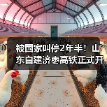 被国家叫停2年半！山东自建济枣高铁正式开工（图2）