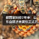 被国家叫停2年半！山东自建济枣高铁正式开工