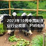 2023年10月中国制造业行业观察:PMI有所回落(图2) 2023年10月中国制造业行业观察:PMI有所回落(图2)