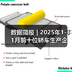 数据简报 | 2025年1-11月前十位轿车生产企业销售情况简析（图3）