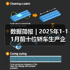 数据简报 | 2025年1-11月前十位轿车生产企业销售情况简析（图2）
