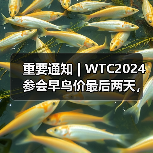 重要通知 | WTC2024参会早鸟价最后两天,最高优惠千元!(图1) 重要通知 | WTC2024参会早鸟价最后两天,最高优惠千元!(图1)