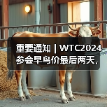 重要通知 | WTC2024参会早鸟价最后两天,最高优惠千元!(图4) 重要通知 | WTC2024参会早鸟价最后两天,最高优惠千元!(图4)