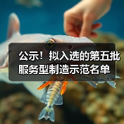 公示!拟入选的第五批服务型制造示范名单(图3) 公示!拟入选的第五批服务型制造示范名单(图3)