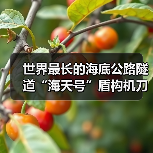 世界最长的海底公路隧道“海天号”盾构机刀盘顺利下井(图3) 世界最长的海底公路隧道“海天号”盾构机刀盘顺利下井(图3)