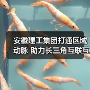 安徽建工集团打通区域动脉 助力长三角互联互通
