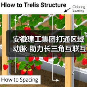 安徽建工集团打通区域动脉 助力长三角互联互通(图4) 安徽建工集团打通区域动脉 助力长三角互联互通(图4)