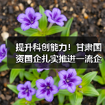提升科创能力！甘肃国资国企扎实推进一流企业创建工作（图4）