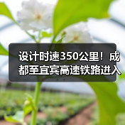 设计时速350公里!成都至宜宾高速铁路进入运行试验阶段(图3) 设计时速350公里!成都至宜宾高速铁路进入运行试验阶段(图3)