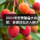 2024年世界隧道大会通知:参展报名进入倒计时(图1) 2024年世界隧道大会通知:参展报名进入倒计时(图1)