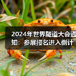 2024年世界隧道大会通知:参展报名进入倒计时(图4) 2024年世界隧道大会通知:参展报名进入倒计时(图4)