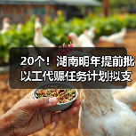 20个！湖南明年提前批以工代赈任务计划拟支持项目出炉（图2）
