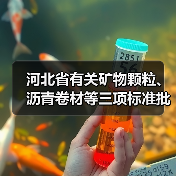 河北省有关矿物颗粒、沥青卷材等三项标准批准立项(图4) 河北省有关矿物颗粒、沥青卷材等三项标准批准立项(图4)