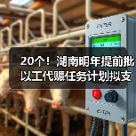 20个！湖南明年提前批以工代赈任务计划拟支持项目出炉（图4）