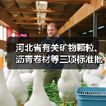 河北省有关矿物颗粒、沥青卷材等三项标准批准立项(图3) 河北省有关矿物颗粒、沥青卷材等三项标准批准立项(图3)