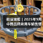 数据简报 | 2025年9月中国品牌乘用车销售情况简析