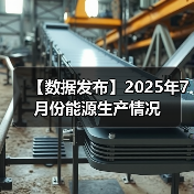 【数据发布】2025年7月份能源生产情况(图3) 【数据发布】2025年7月份能源生产情况(图3)
