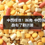 中国标准!越南-中国铁路有了新进展(图2) 中国标准!越南-中国铁路有了新进展(图2)