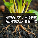 湖南省《关于支持民营经济发展壮大的若干政策措施》解读（图4）