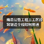 梅县公路工程三工区径背隧道全线顺利贯通(图1) 梅县公路工程三工区径背隧道全线顺利贯通(图1)