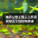 梅县公路工程三工区径背隧道全线顺利贯通(图3) 梅县公路工程三工区径背隧道全线顺利贯通(图3)