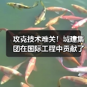 攻克技术难关!城建集团在国际工程中贡献了中国智慧(图2) 攻克技术难关!城建集团在国际工程中贡献了中国智慧(图2)