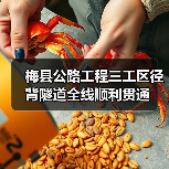 梅县公路工程三工区径背隧道全线顺利贯通(图4) 梅县公路工程三工区径背隧道全线顺利贯通(图4)
