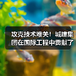 攻克技术难关!城建集团在国际工程中贡献了中国智慧(图3) 攻克技术难关!城建集团在国际工程中贡献了中国智慧(图3)
