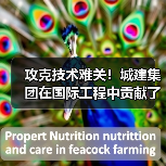 攻克技术难关!城建集团在国际工程中贡献了中国智慧(图4) 攻克技术难关!城建集团在国际工程中贡献了中国智慧(图4)