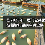 厦门电动化规划：推动新能源汽车应用与公共交通全面电动化