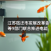 江苏宿迁市发展改革委等9部门联合推进电能替代工作(图1) 江苏宿迁市发展改革委等9部门联合推进电能替代工作(图1)