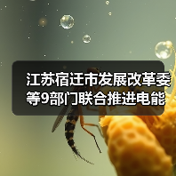 江苏宿迁市发展改革委等9部门联合推进电能替代工作(图3) 江苏宿迁市发展改革委等9部门联合推进电能替代工作(图3)