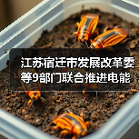 江苏宿迁市发展改革委等9部门联合推进电能替代工作(图2) 江苏宿迁市发展改革委等9部门联合推进电能替代工作(图2)