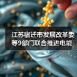 江苏宿迁市发展改革委等9部门联合推进电能替代工作(图4) 江苏宿迁市发展改革委等9部门联合推进电能替代工作(图4)