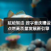 重庆国企数字化转型引领数字经济发展