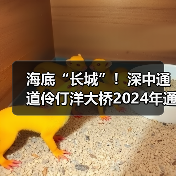 海底“长城”!深中通道伶仃洋大桥2024年通车(图2) 海底“长城”!深中通道伶仃洋大桥2024年通车(图2)